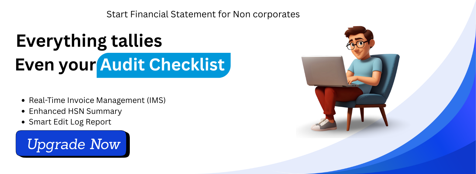 Tally Audit Checklist