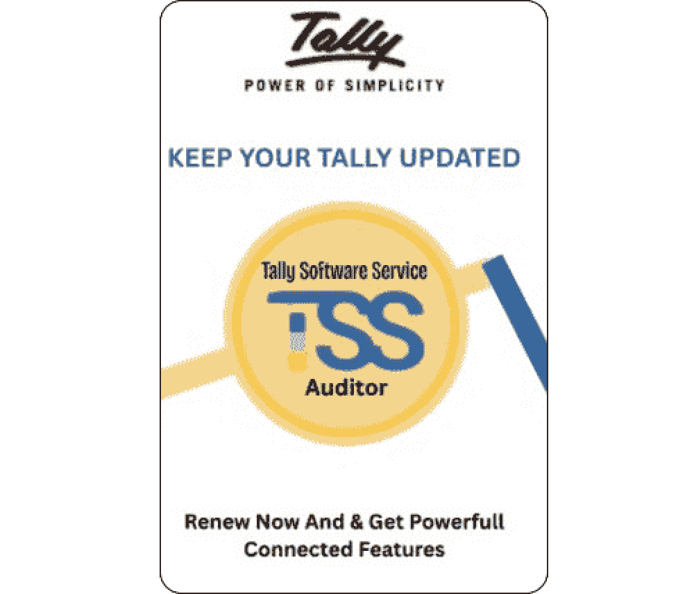 Tally Prime Software Services (Auditor)